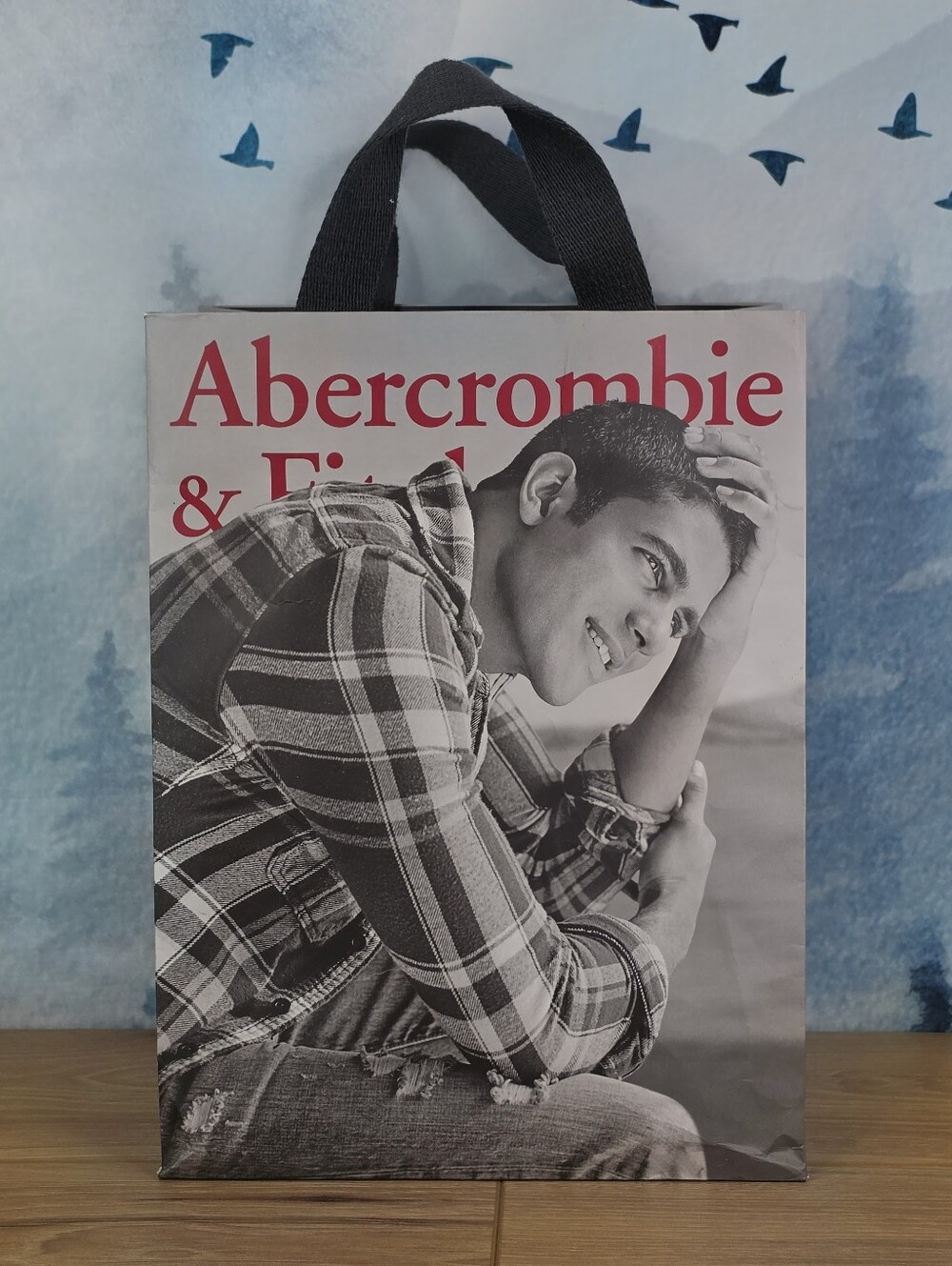 Abercrombie & Fitch Vintage Y2K Male Model Shopping Bag